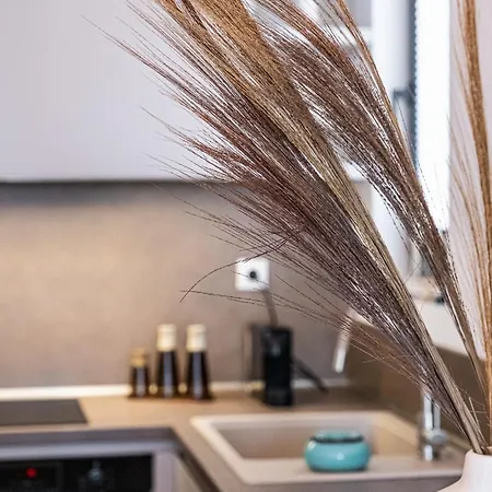 Kabakum Dreams Apartman Várna